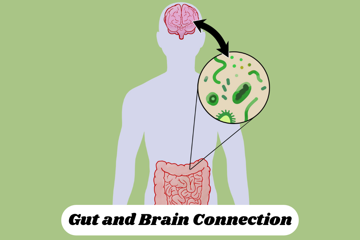 Lifestyle Factors and Gut Health Affecting Mental Health